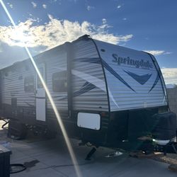 Tráiler 2019 Springdale