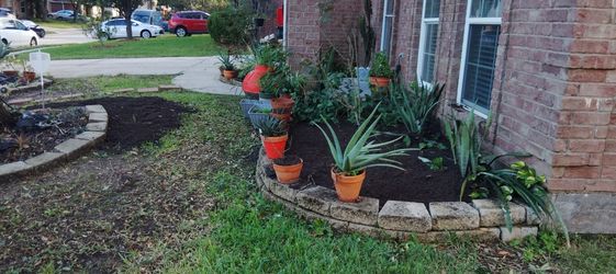 Apple Landscaping