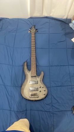 ESP LTD 5-String Electric Bass Guitar