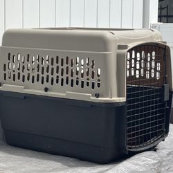 Dog Kennel
