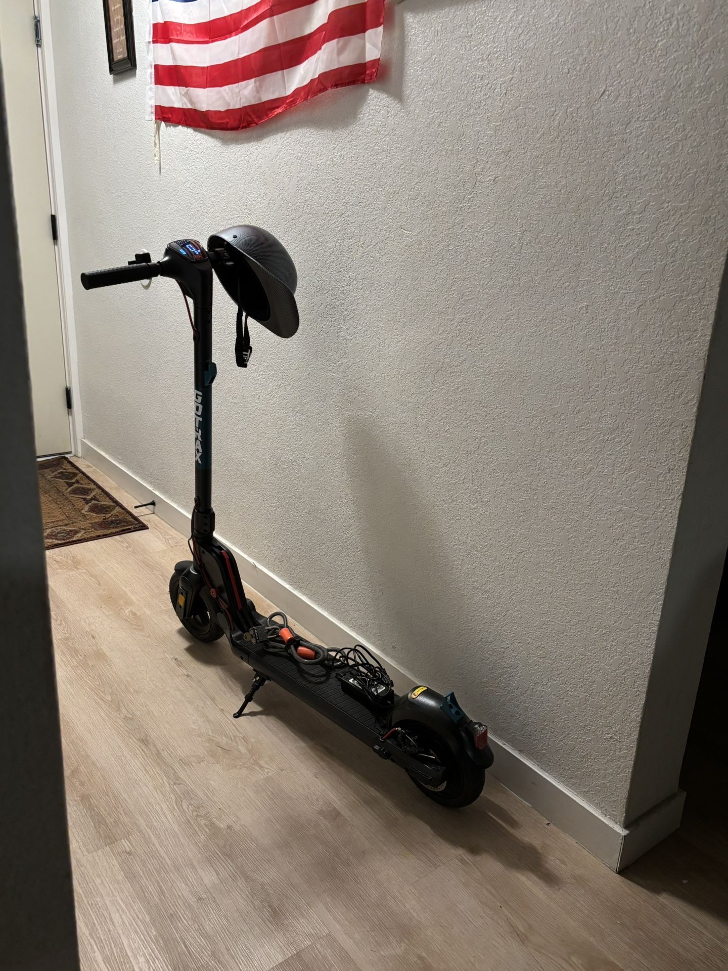 Electric Adult Scooter