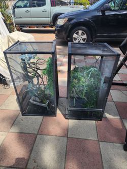 Terrarium