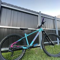 San Quentin 1 Marin Hardtail Medium