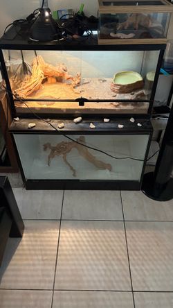 Redtail tank