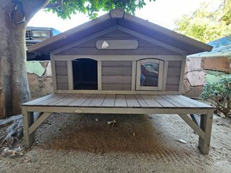 Cat House