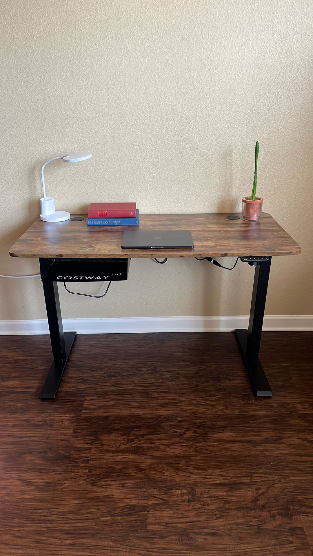 Electric Standing Desk – 48” Adjustable w/ USB & Cable Management