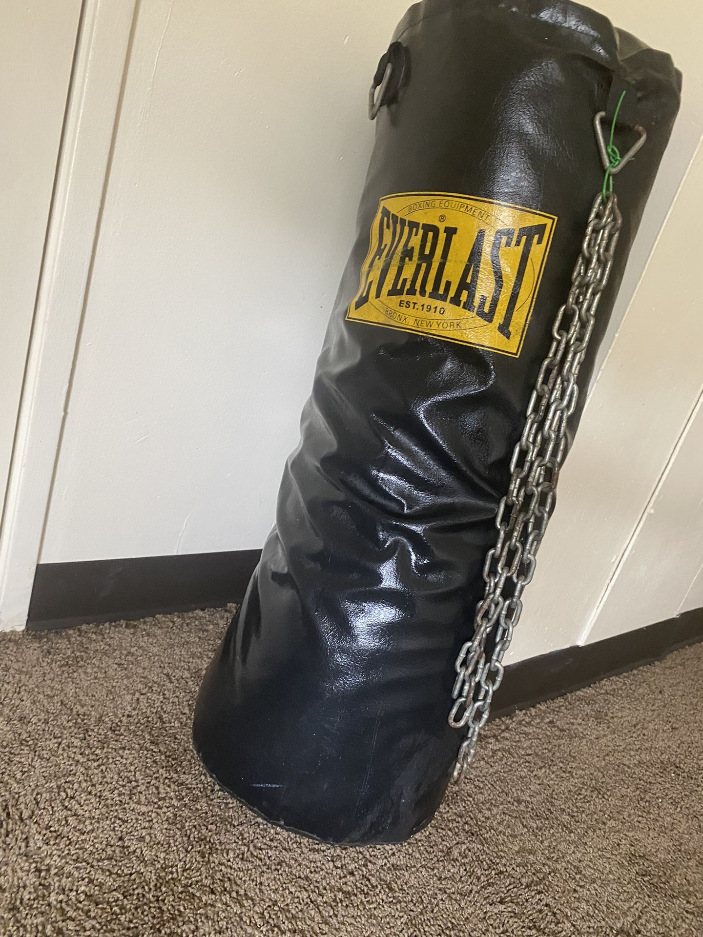 Punching Bag/Everlast