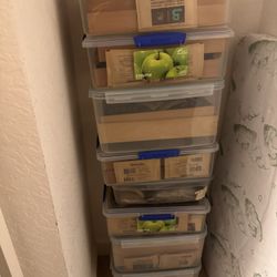 Cubans And Dominicans