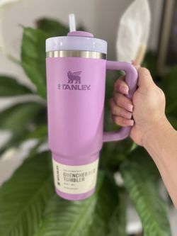 STANLEY 💜