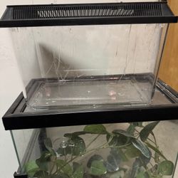 Frog/reptile Cage