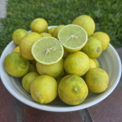 Organic Lemons Mexican Tequilero