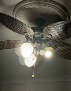 Celling fan