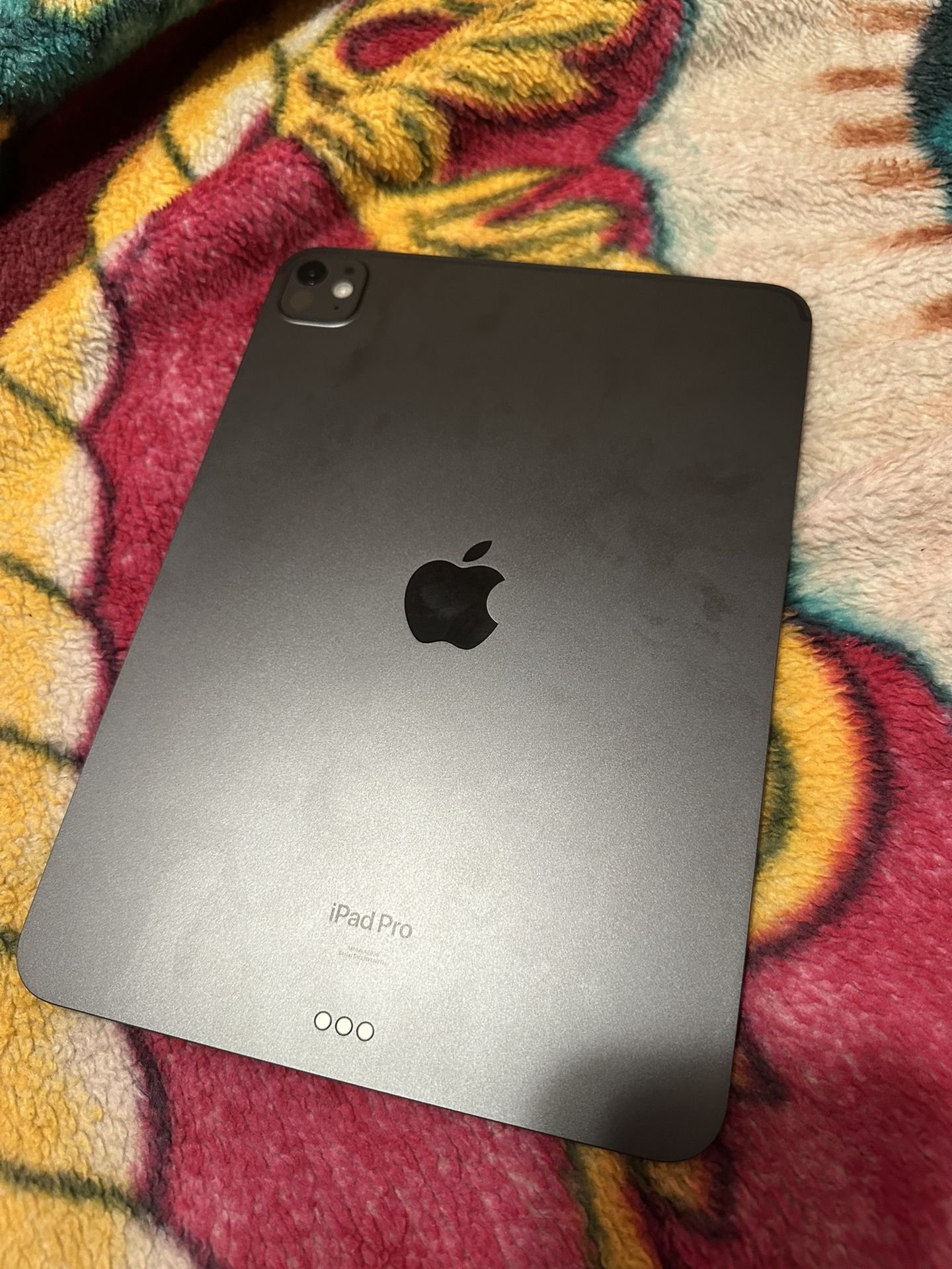 iPad Pro 11 M4 256 GB