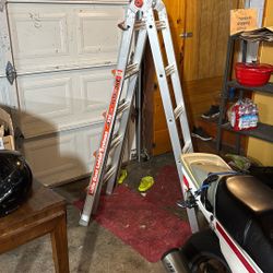 Little Giant Ladder 250lbrated