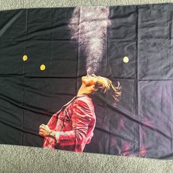 Harry styles Tapestry 