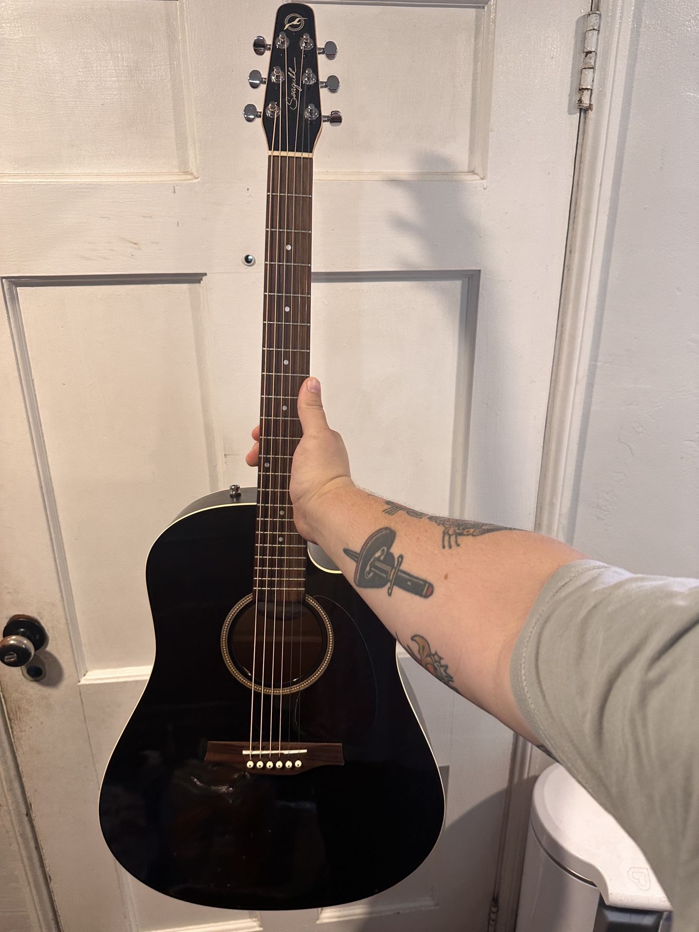 Acoustic/Electric Guitar