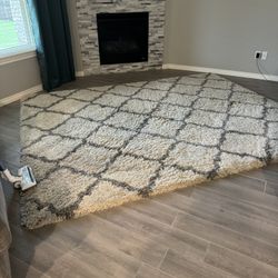 Large Thick Pile Area rug 8x10 (Orig $500)