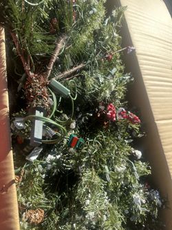 Xmas Trees Make An Offer Not Free