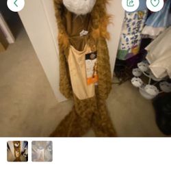 Lion Costume NEW