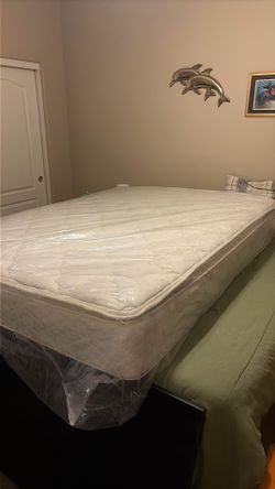 Box Spring And Sealy Mattresses