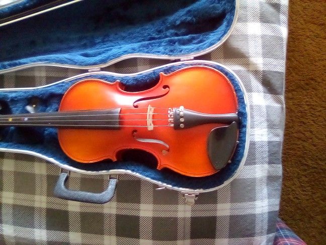 Violen