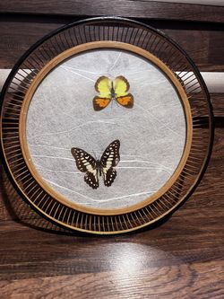 Butterfly Round Glass Serving Tray