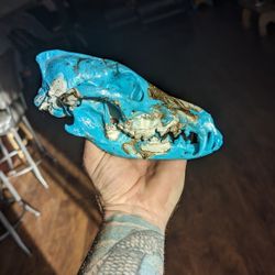 Gold Teal And White Hydro Dipped Coyote Skull 