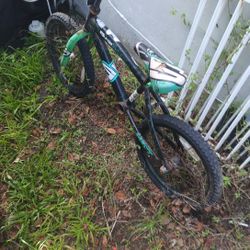 Training Bike 