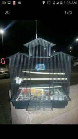 Bird cage and play area