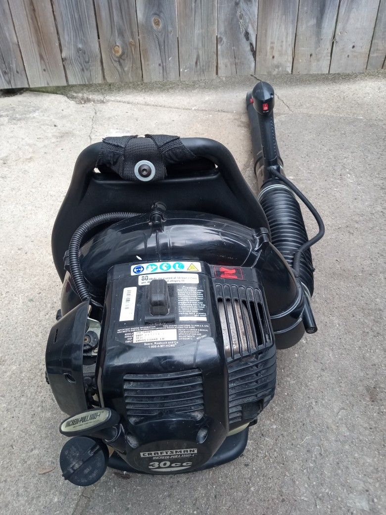Craftsman BackPack Blower (205 MPH Airspeed)
