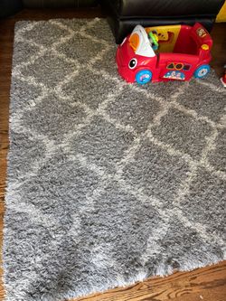 Free 5 x 7 shag rug