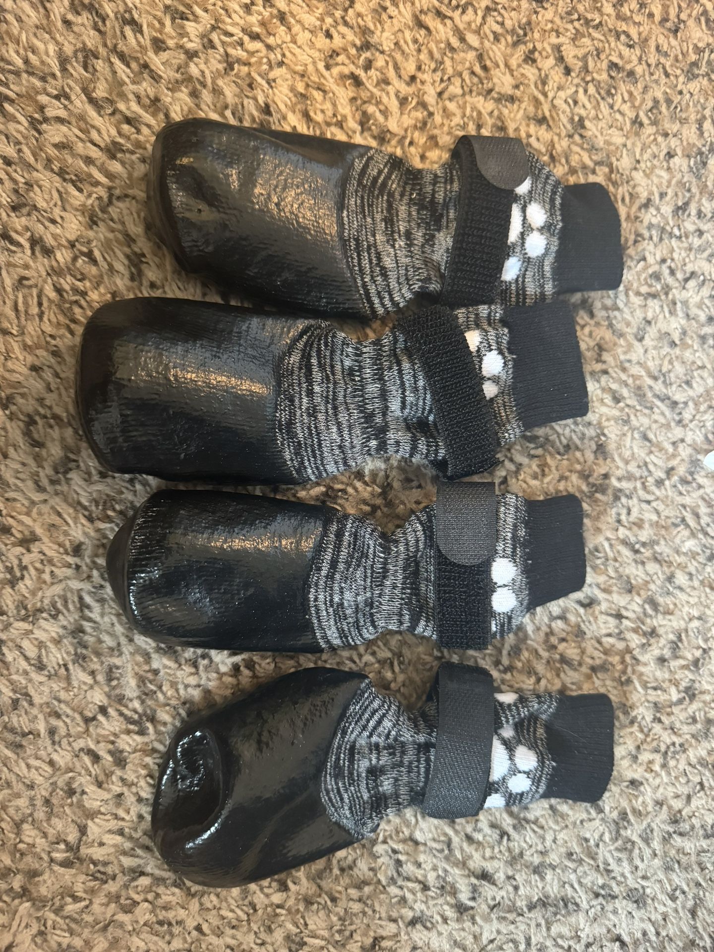 Dog Socks S/M