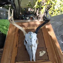 6 Pointer Deer Antler Head Decorated In Black And White Use