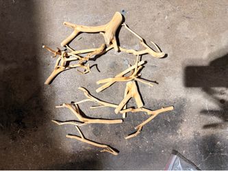 🪾 Natural Driftwood / Manzanita Craft Branches – Aquarium, Terrarium & Decor