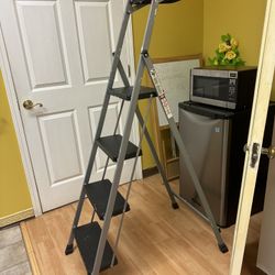 Ladder  Metal. 5 1/2 Ft