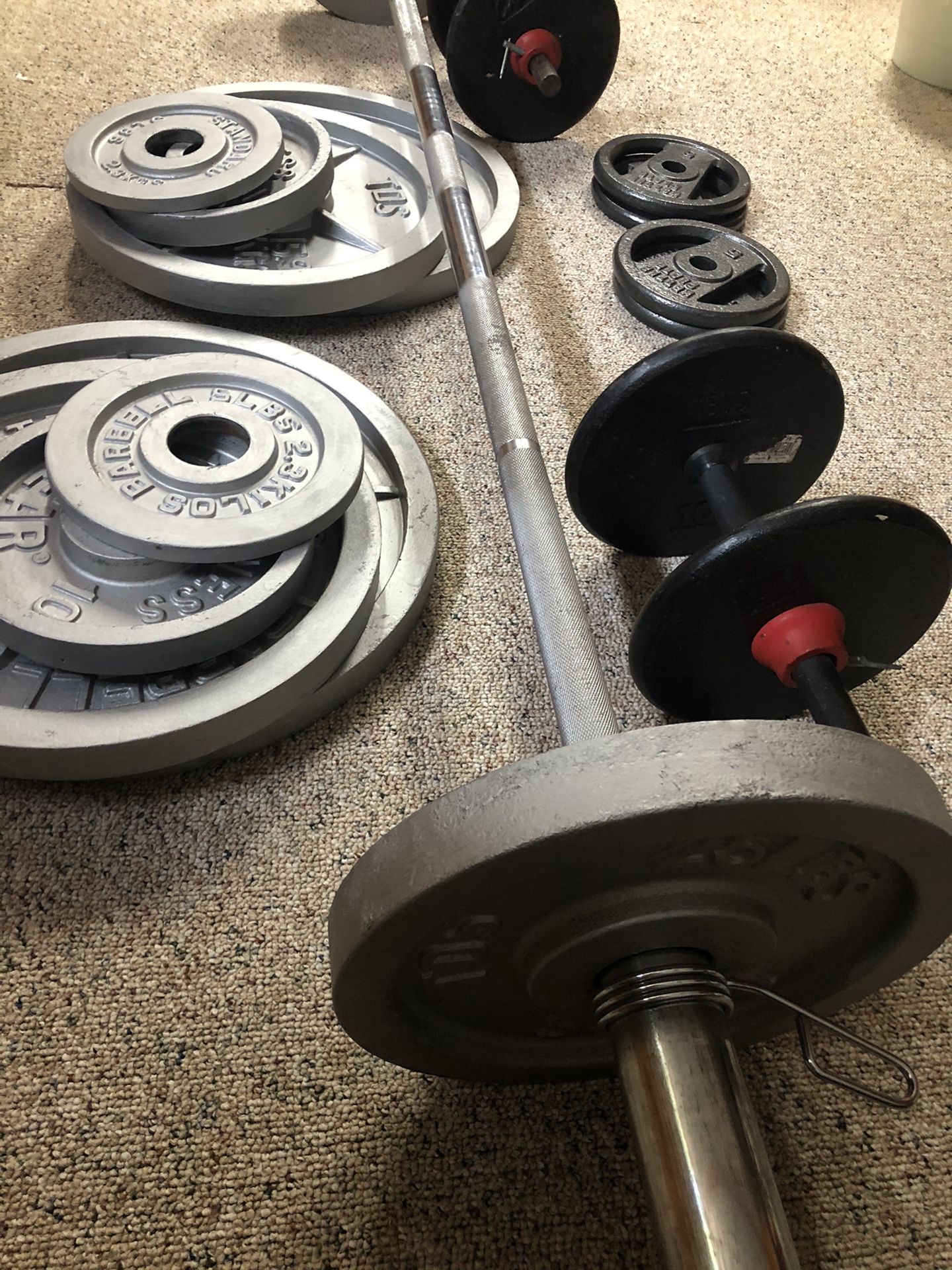 weights - bar + 240 pounds in plates + adjustable dumbells