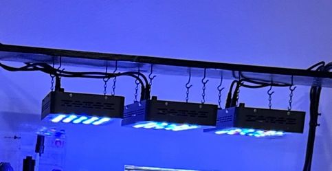 Aquarium Lights