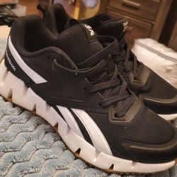 Reebok men Zig Dynamica STR Shoes
