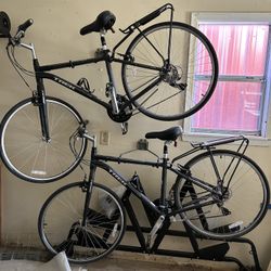 Trek Bicycles And Auto-Carrier