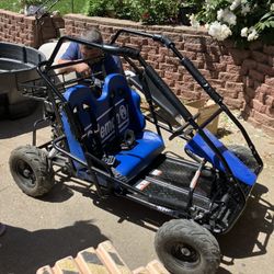 Coleman Go kart 