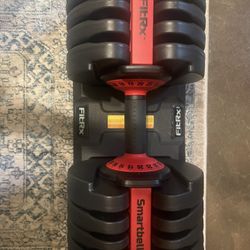 Adjustable Dumbbells 