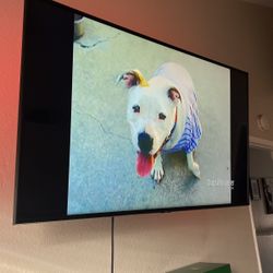 Samsung 50 Inch TV