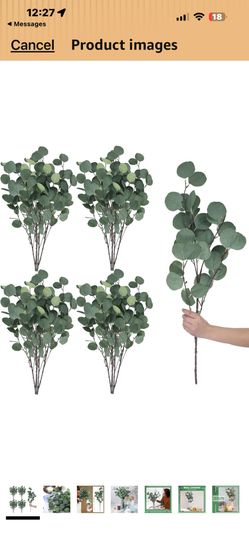 20 Pcs Artificial Eucalyptus Stems Fake Bulk for Wedding Decor Faux Greenery Silver Dollar Leaves 23.6 Inch Silver Dollar Fake Plant Decor Silk Branch