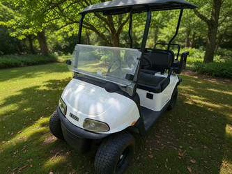 2023 Valor Gas Golf Cart in like new condition
