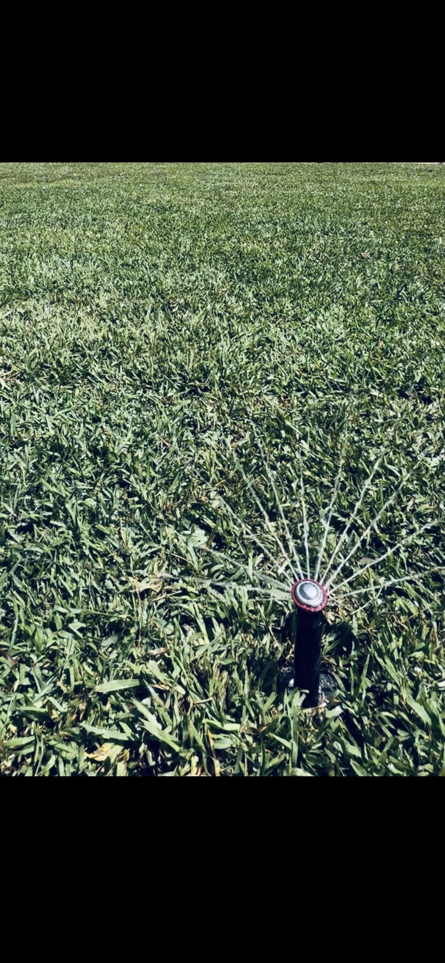 Rain Bird Sprinkler