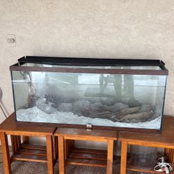 150 Gallon Tank