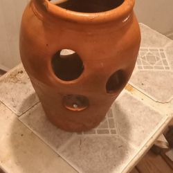 Plant Pottery 