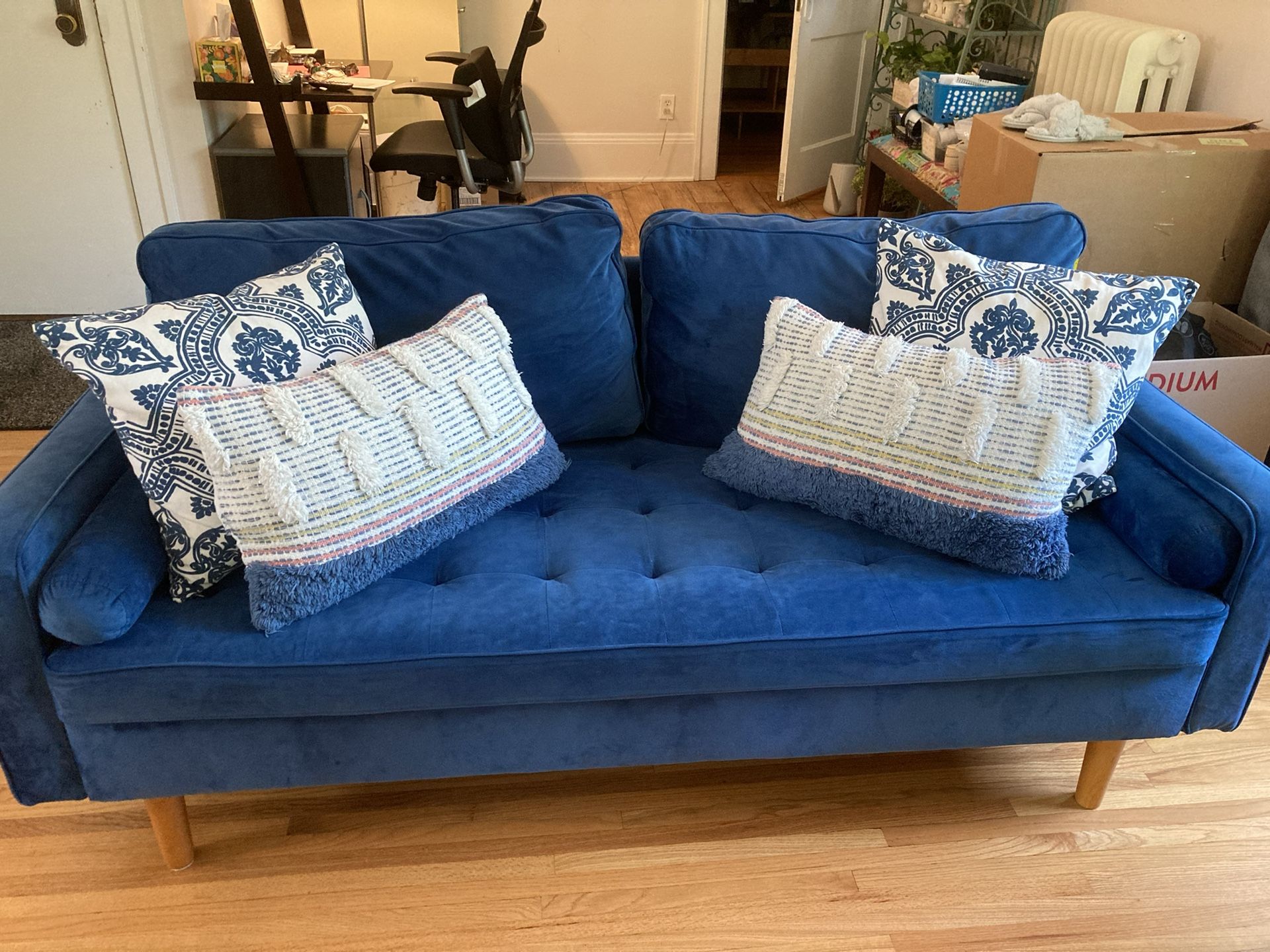 Blue Couch