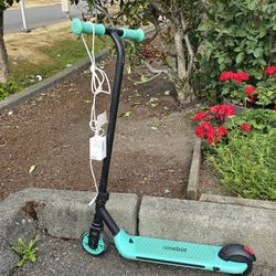 Electric Scoter with Charger 