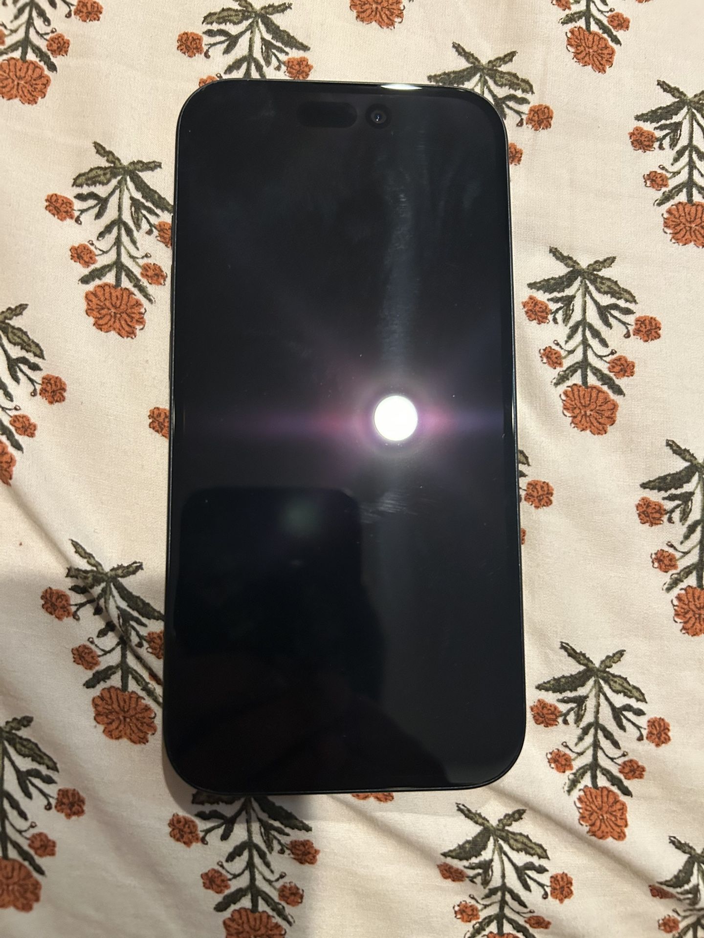 iPhone 15